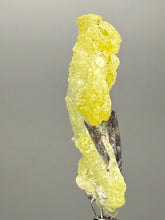Load image into Gallery viewer, Vibrant Yellow Brucite Thumbnail Mineral Specimen | Collector Crystal from Killa Saifullah District in Balochistan Province, Pakistan
