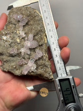Load image into Gallery viewer, High-Grade Vera Cruz Amethyst Cluster on Andesite Matrix | Piedra Parada (Las Vigas District), Veracruz, Mexico
