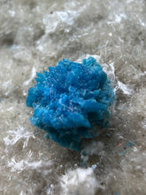 Load image into Gallery viewer, Rare Electric Blue Cavansite on Druzy Matrix – Collector Mineral Specimen | India

