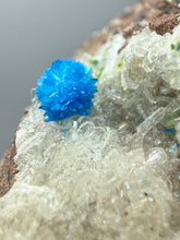 Load image into Gallery viewer, Rare Electric Blue Pentagonite &amp; Cavansite on Druzy Matrix | Collector Mineral Specimen | Wagholi Quarry, India
