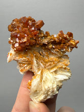Load image into Gallery viewer, Natural Vanadinite on Matrix | Collector Mineral Specimen | Morocco
