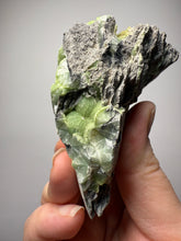 Load image into Gallery viewer, High-Grade Green Wavellite Collectors Specimen - Radiating Botryoidal Crystal Formation - Arkansas, USA
