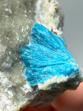 Load image into Gallery viewer, Rare Electric Blue Cavansite on Druzy Matrix – Collector Mineral Specimen | India
