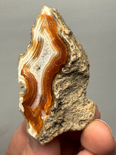 Load image into Gallery viewer, Premium Sumatra Agate (Banded Chalcedony) Display Specimen | Indonesia
