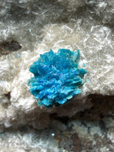 Load image into Gallery viewer, Rare Electric Blue Cavansite on Druzy Matrix – Collector Mineral Specimen | India
