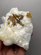 Load image into Gallery viewer, Superb White Flos Ferri Aragonite “Flower of Iron” Mineral Specimen | Lom Vitošov, Czech Republic
