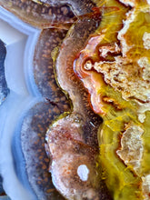 Load image into Gallery viewer, High-Grade Turkish Agate with Botryoidal Chalcedony Vug – Rare Collector’s Gem
