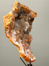 Load image into Gallery viewer, Sunset Goblin Chalcedony Botryoidal Stalactite | Sidi Rahal, Morocco (Western Sahara) Mineral Display Specimen
