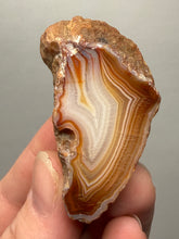 Load image into Gallery viewer, Premium Sumatra Agate (Banded Chalcedony) Display Specimen | Indonesia
