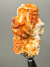 Load image into Gallery viewer, Natural Vanadinite on Matrix | Collector Mineral Specimen | Morocco
