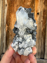 Load image into Gallery viewer, Clear Gem Apophyllite Cluster on black matrix • Maharashtra, India
