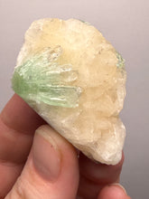 Load image into Gallery viewer, Green Radial “Disco Ball” Apophyllite | Maharashtra, India
