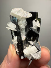 Load image into Gallery viewer, Blue Cap Dark Green Stak Nala Tourmaline on Cleavelandite Matrix – Haramosh Mountains, Pakistan
