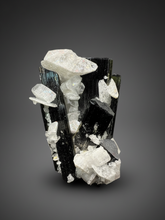 Load image into Gallery viewer, Blue Cap Dark Green Stak Nala Tourmaline on Cleavelandite Matrix – Haramosh Mountains, Pakistan
