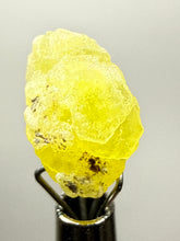 Load image into Gallery viewer, Vibrant Yellow Brucite Thumbnail Mineral Specimen | Collector Crystal from Killa Saifullah District in Balochistan Province, Pakistan

