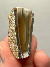 Load image into Gallery viewer, Premium Sumatra Agate (Banded Chalcedony) Display Specimen | Indonesia
