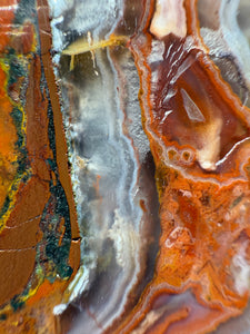 Moroccan Agate Pair • High Atlas Mountains • POLISHED