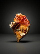 Load image into Gallery viewer, Natural Vanadinite on Matrix | Collector Mineral Specimen | Morocco
