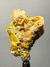 Load image into Gallery viewer, High-Grade Orange Wulfenite Collector Display Specimen | La Morita Mine, Chihuahua, Mexico
