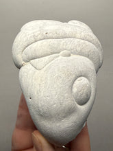 Load image into Gallery viewer, Chichaoua Menalite “Fairy Stone” Concretion | Natural Collector Display Specimen | Morocco
