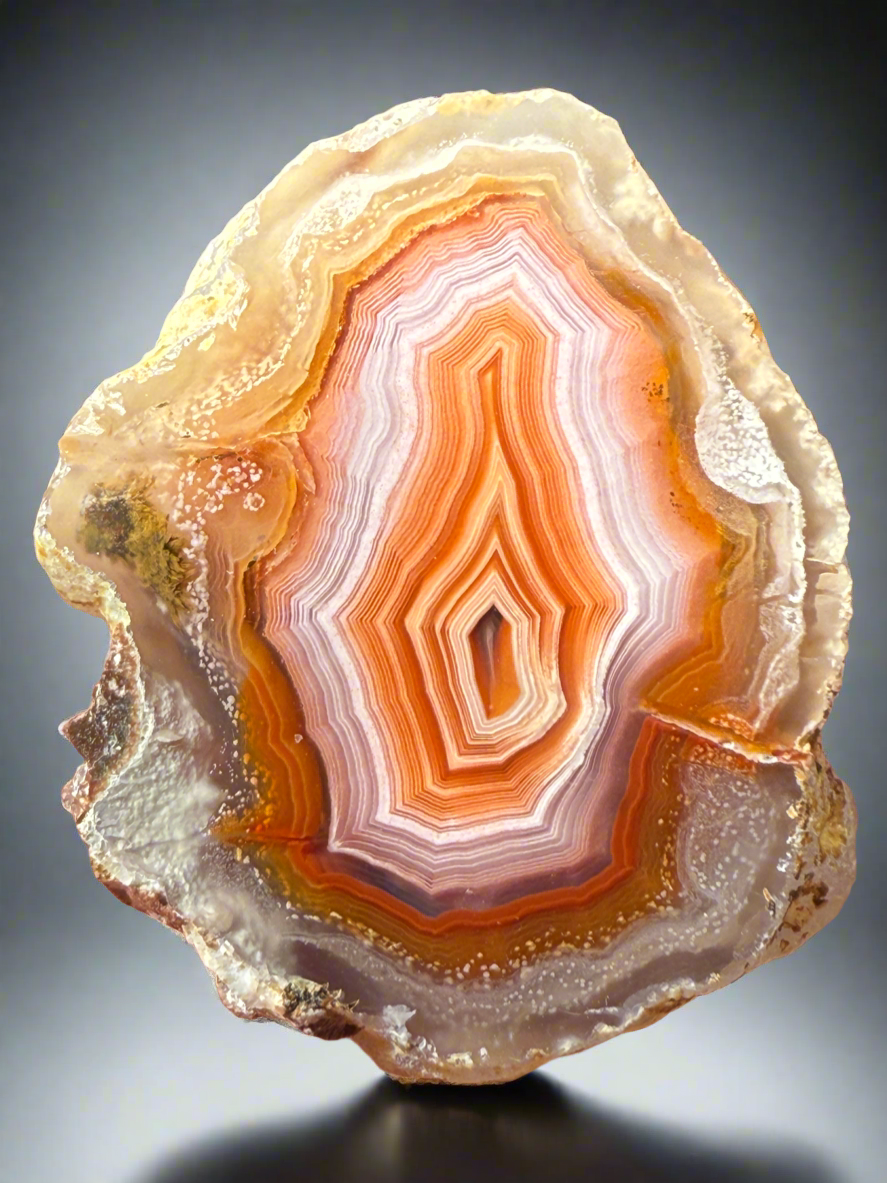 High-Grade Parallax Banded Laguna Agate – Bright Orange, Red, & White Banding from Mexico