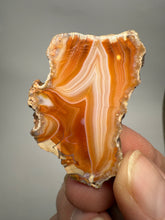 Load image into Gallery viewer, High-Grade Indonesian Sumatra Agate Pair – Vibrant Banded Chalcedony with Rich Color Zoning | Ethical Lapidary &amp; Collector Display Specimens
