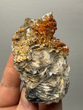 Load image into Gallery viewer, Natural Vanadinite on Matrix | Collector Mineral Specimen | Morocco
