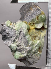 Load image into Gallery viewer, High-Grade Green Wavellite Collectors Specimen - Radiating Botryoidal Crystal Formation - Arkansas, USA
