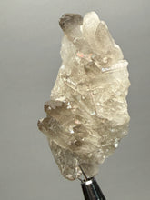 Load image into Gallery viewer, Smoky Quartz Crystal Specimen | Natural Collector Mineral – Brazil
