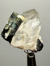 Load image into Gallery viewer, Dark Green Cap Stak Nala Tourmaline and Cleavelandite on Quartz – Haramosh Mountains, Pakistan | Thumbnail Specimen
