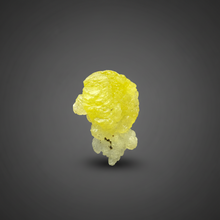 Load image into Gallery viewer, Vibrant Yellow Brucite Thumbnail Mineral Specimen | Collector Crystal from Killa Saifullah District in Balochistan Province, Pakistan
