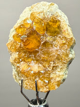 Load image into Gallery viewer, Hessonite Garnet Cluster on Matrix – Thumbnail Collector Specimen from Pakistan | High-Grade Orange-Red Garnet Crystals
