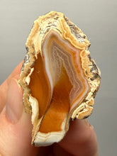 Load image into Gallery viewer, Premium Sumatra Agate (Banded Chalcedony) Display Specimen | Indonesia
