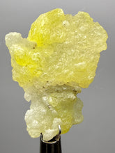 Load image into Gallery viewer, Vibrant Yellow Brucite Thumbnail Mineral Specimen | Collector Crystal from Killa Saifullah District in Balochistan Province, Pakistan
