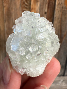Light Mint Green Radial (Disco Ball) Apophyllite and Clear Heulandite • Maharashtra, India