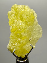 Load image into Gallery viewer, Vibrant Yellow Brucite Thumbnail Mineral Specimen | Collector Crystal from Killa Saifullah District in Balochistan Province, Pakistan
