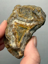 Load image into Gallery viewer, Premium Sumatra Agate (Banded Chalcedony) Display Specimen | Indonesia
