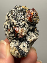 Load image into Gallery viewer, Naturally Faceted Zircon Crystal on Pegmatite–Biotite Matrix • Pakistan Mineral Specimen
