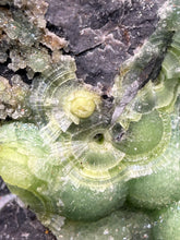 Load image into Gallery viewer, High-Grade Green Wavellite Collectors Specimen - Radiating Botryoidal Crystal Formation - Arkansas, USA
