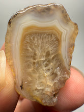 Load image into Gallery viewer, Lot of 9 Small Malawi Agate Halves – Polished Rare Colorful Collector Specimens
