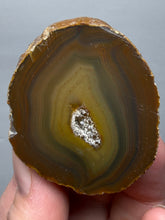 Load image into Gallery viewer, Premium Sumatra Agate (Banded Chalcedony) Display Specimen | Indonesia
