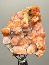 Load image into Gallery viewer, “Goblin Chalcedony” Pink &amp; Orange Druzy Botryoidal Stalactites— Tichka Massif, High Atlas, Morocco
