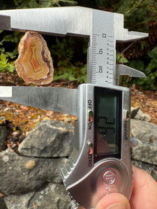 High-Grade Parallax Banded Laguna Agate – Bright Red & Yellow Crystal from Mexico