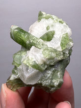 Load image into Gallery viewer, Electric Green Diopside on Quartz – Collector Mineral Specimen (Gilgit-Baltistan) Pakistan
