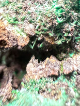 Load image into Gallery viewer, Brochantite Collector Mineral Specimen – Vivid Green Copper Crystals from Morocco
