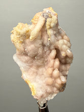 Load image into Gallery viewer, Sunset Goblin Chalcedony Botryoidal Stalactite | Sidi Rahal, Morocco (Western Sahara) Mineral Display Specimen

