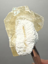 Load image into Gallery viewer, Rare Druzy Golden “Diamond” Calcite on Zeolite Matrix — Maharashtra, India | Collector Cabinet Specimen
