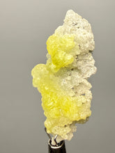 Load image into Gallery viewer, Vibrant Yellow Brucite Thumbnail Mineral Specimen | Collector Crystal from Killa Saifullah District in Balochistan Province, Pakistan

