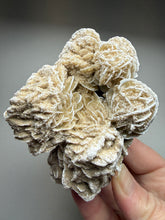 Load image into Gallery viewer, Desert Rose Selenite (Gypsum) — Mineral Display Specimen | Mexico
