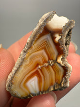 Load image into Gallery viewer, High-Grade Indonesian Sumatra Agate Pair – Vibrant Banded Chalcedony with Rich Color Zoning | Ethical Lapidary &amp; Collector Display Specimens
